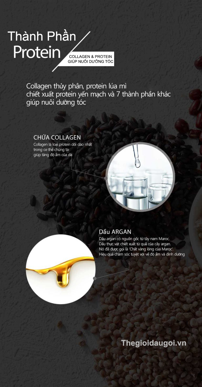 Thành phần collagen và protein